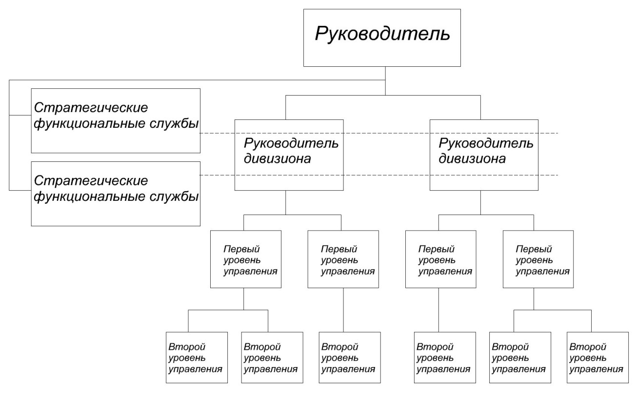 Схема дивизиональной структуры 